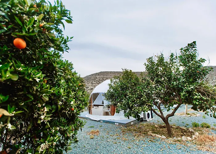 Geometry Park ロッジ *